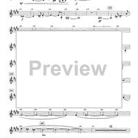 Flight - Bb Bass Clarinet