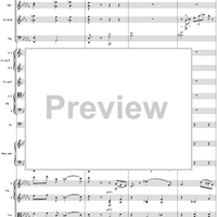 Concerto No. 1 for Piano and Orchestra in B-flat minor (B-dur). Movement I - Score