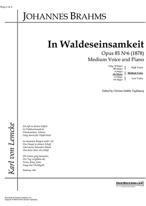 In Waldeseinsamkeit Op.85 No. 6