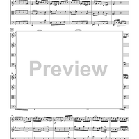 The Violin Concerti - Score