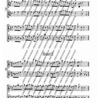 The Flourishing Baroque Period - Performing Score
