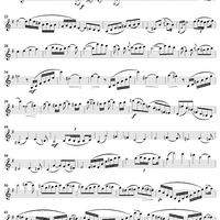 Concertino No. 3 in E Minor - Violin