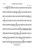 Triangle of the Tempest - Trombone 2