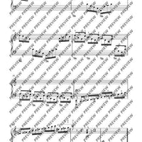 12 Etudes for the Left Hand
