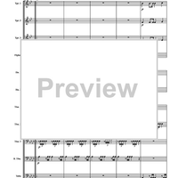 Trauermarsche, Op. 55 - Score