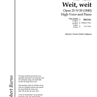 Weit, weit Op.25 No.20