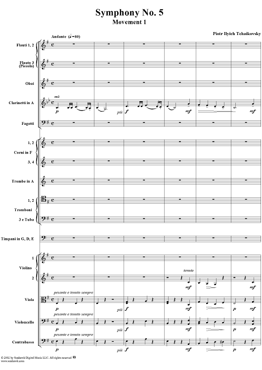 Symphony No. 5 in E minor (e-moll). Movement I, Andante--Allegro con anima