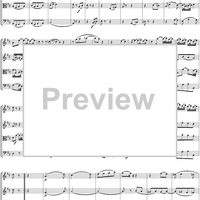 String Quartet No. 18, Movement 3 - Score