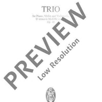 Piano Trio D minor in D minor - Full Score