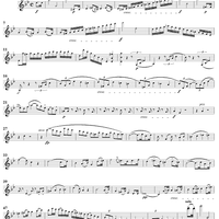 Violin Concerto No. 6 in G Minor, Op. 28 - Violin