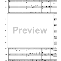 Trauermarsche, Op. 55 - Score