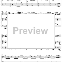 Concertino No. 3 in E Minor - Score