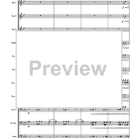 Trauermarsche, Op. 55 - Score