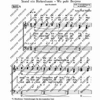 Stand ein Birkenbaum / Grauer Tauber - Choral Score