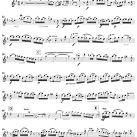 Flute Concerto in G Major - Flute