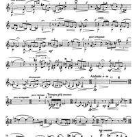 Seconda sonata - Violin