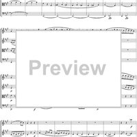 String Quartet No. 18, Movement 1 - Score