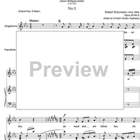 Lieder No. 1 aus dem Schenkenbuch im Divan Op.25 No. 5