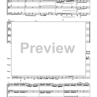 The Violin Concerti - Score