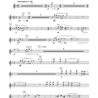 Unknown (Medium Easy Version) - Flute