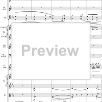 Violin Concerto No. 1, Movement 2 - Score