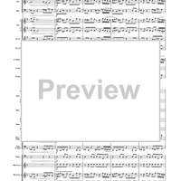 Unknown (Medium Level Version) - Score