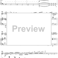 Concertino No. 2 in D Minor - Score