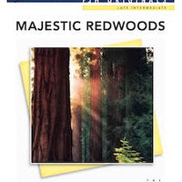 Majestic Redwoods