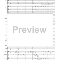 Unknown (Medium Level Version) - Score