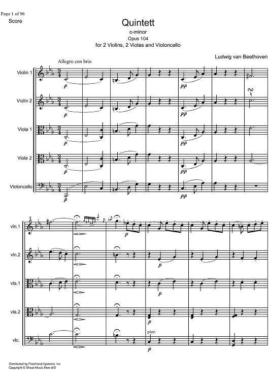 String Quintet c minor Op.104 - Score