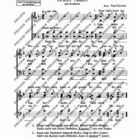 Stand ein Birkenbaum / Grauer Tauber - Choral Score