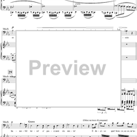 Macbeth, Act 1, No. 7, Scena and Duet. "Fatal mia donna: un murmure"