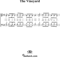 The Vineyard