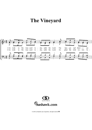 The Vineyard