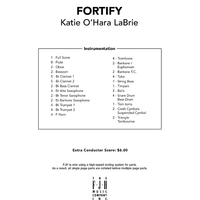 Fortify - Score