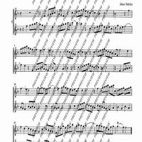 The Flourishing Baroque Period - Performing Score