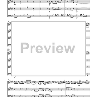 The Violin Concerti - Score