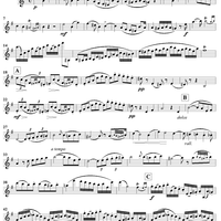 Grand Sonata, Op. 25 - Violin