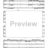 The Violin Concerti - Score