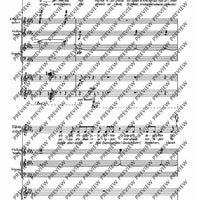 De temporum fine comoedia - Piano Reduction