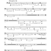 Unknown (Medium Easy Version) - Tuba