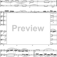 String Quartet No. 18, Movement 3 - Score