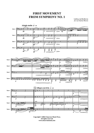 First Movement from Symphony No. 1 - Score