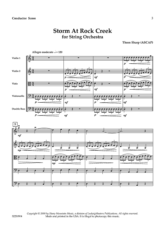 Storm at Rock Creek for String Orchestra - Score