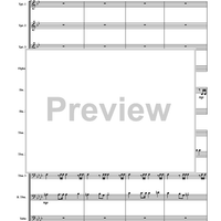 Trauermarsche, Op. 55 - Score