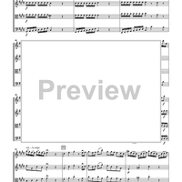 The Violin Concerti - Score