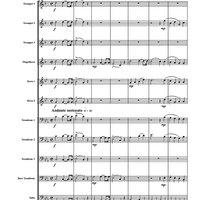 Trauermarsche, Op. 55 - Score