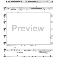 Still - Bb Contrabass Clarinet